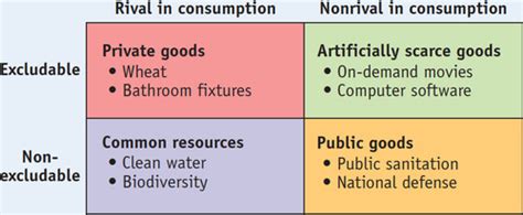 when a good is rival in consumption,